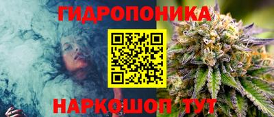 прущие крисы Новокубанск